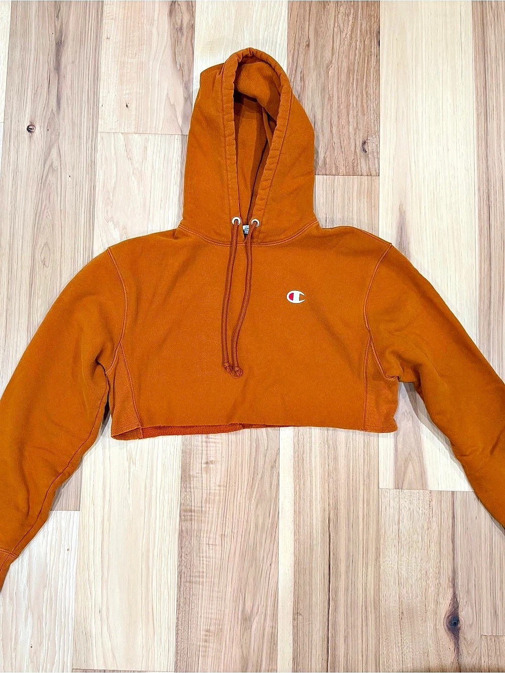 Champion Reverse Weave Hoodie